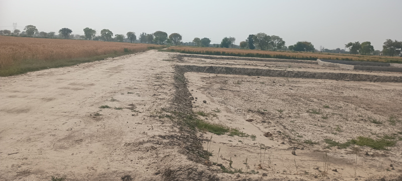  Residential Plot 100 Sq.ft. for Sale in NH 2, Palwal