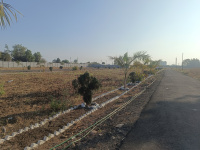  Residential Plot for Sale in Borkhedi, Nagpur
