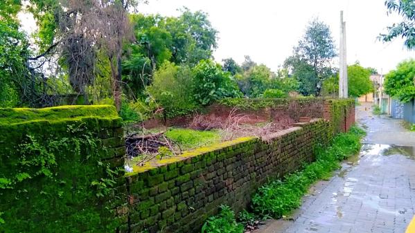  Residential Plot 5 Dismil for Sale in Bokaro Steel City