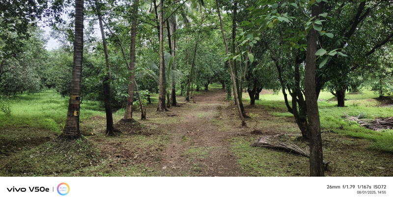 4.5 BHK Farm House 15 Acre for Sale in Karjat, Mumbai