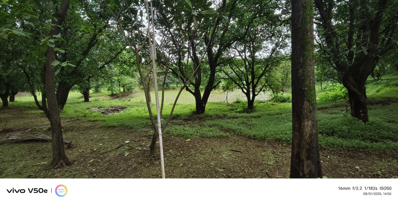 4.5 BHK Farm House 15 Acre for Sale in Karjat, Mumbai