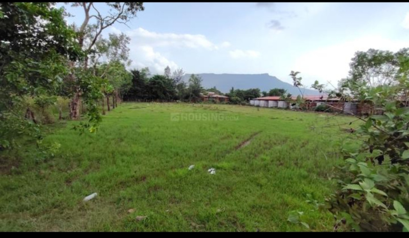  Residential Plot 39 Guntha for Sale in Karjat, Mumbai