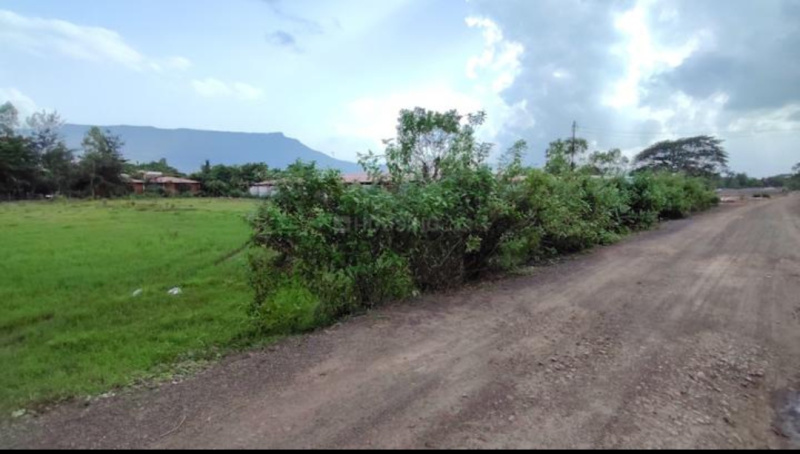  Residential Plot 39 Guntha for Sale in Karjat, Mumbai