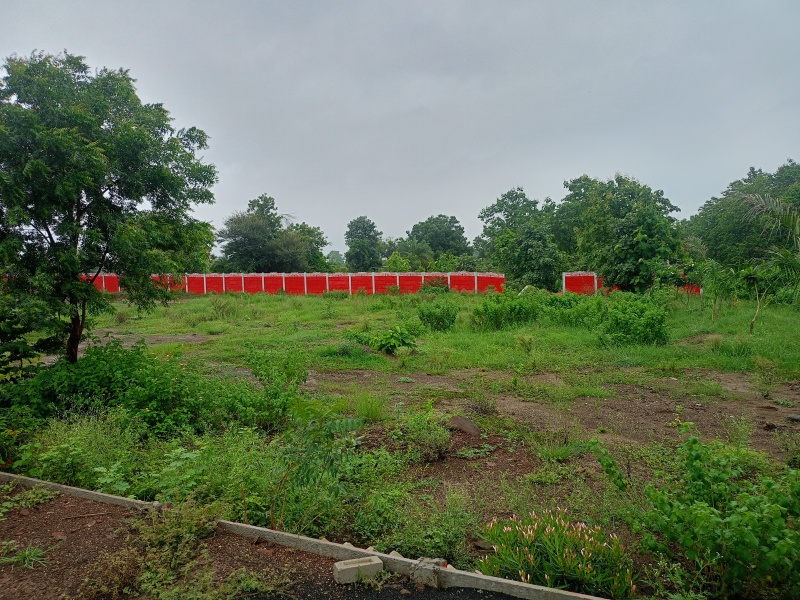  Agricultural Land 5000 Sq.ft. for Sale in Dhamna, Nagpur