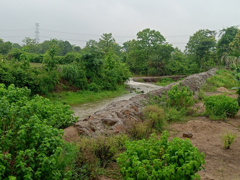  Agricultural Land 5000 Sq.ft. for Sale in Dhamna, Nagpur