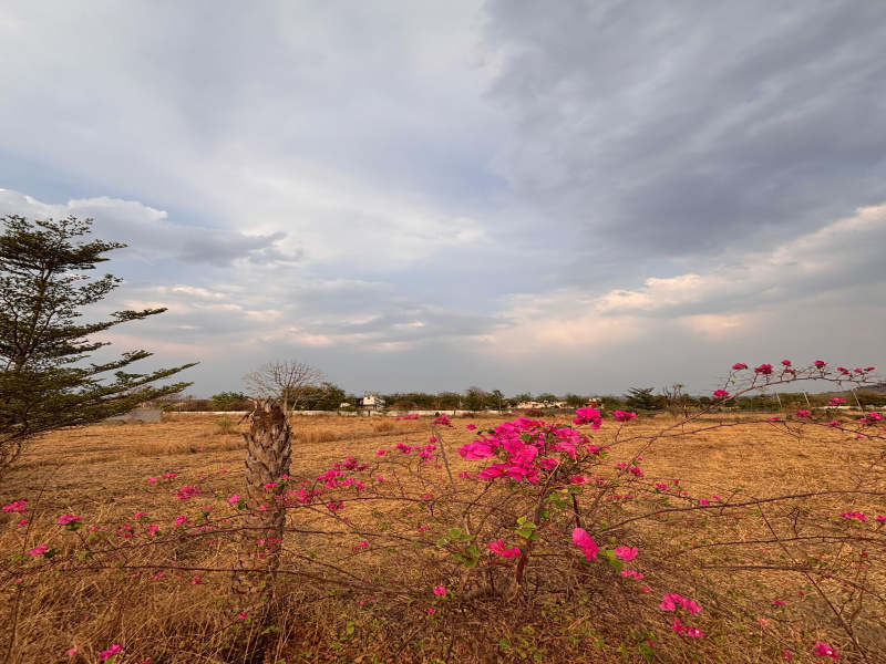  Agricultural Land 5000 Sq.ft. for Sale in Amravati Road, Nagpur