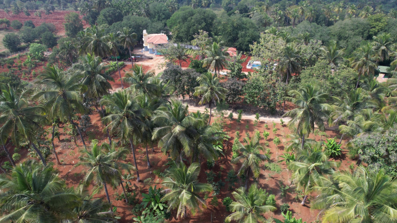  Residential Plot 5989 Sq.ft. for Sale in Devanahalli, Bangalore