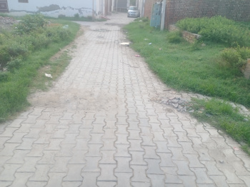  Residential Plot for Sale in Guru Ram Das Nagar, Firozpur