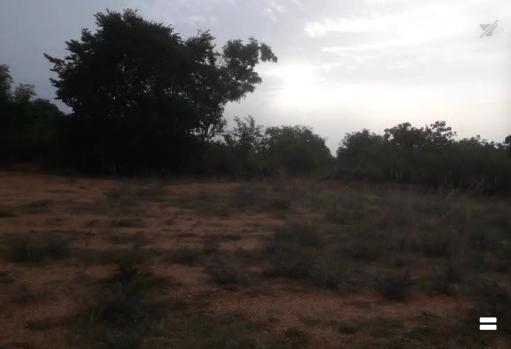  3 Acre Agricultural/Farm Land for Sale in Sanarpatti, Dindigul