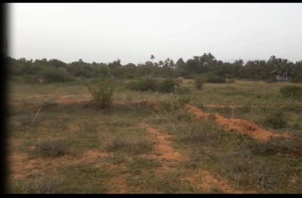  3 Acre Agricultural/Farm Land for Sale in Sanarpatti, Dindigul