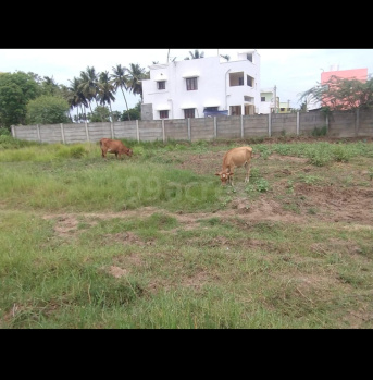  Commercial Land for Sale in Kumbakonam, Thanjavur