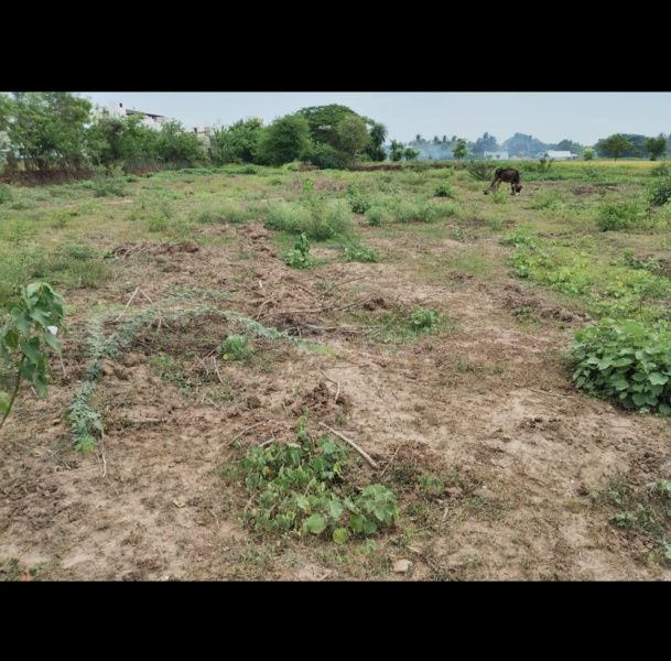  Commercial Land 2 Acre for Sale in Kumbakonam, Thanjavur