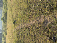 Residential Plot for Sale in Trimbakeshwar, Nashik