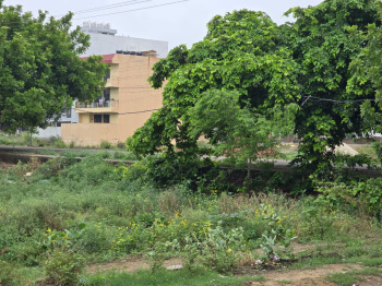  Residential Plot for Sale in Sector 9 Bahadurgarh
