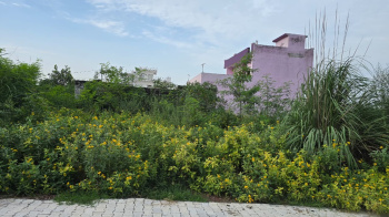  Residential Plot for Sale in Kharkhoda, Sonipat