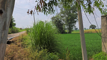  Agricultural Land for Sale in Daboda Village, Bahadurgarh