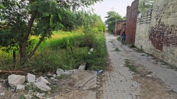  Agricultural Land for Sale in Ismaila, Rohtak