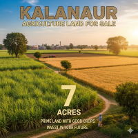 Agricultural Land for Sale in Kalanaur Rohtak