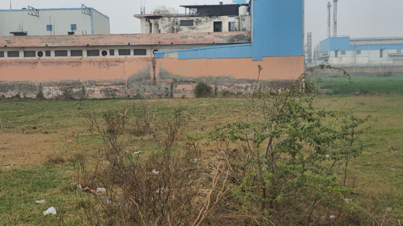 Sector 33, Bahadurgarh photo 3