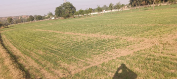 1 RK Farm House for Sale in Sohna Road, Gurgaon