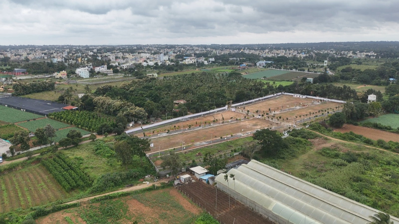  Commercial Land 1200 Sq.ft. for Sale in Anekal, Bangalore