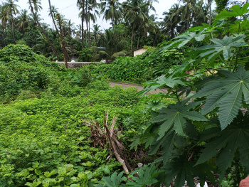  Industrial Land for Sale in Murud, Raigad