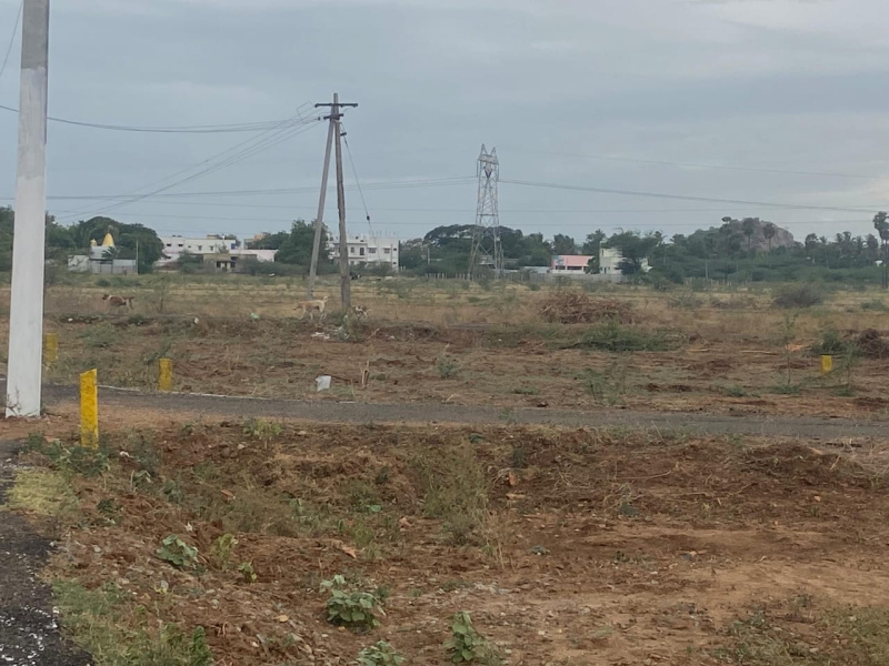  Residential Plot 1200 Sq.ft. for Sale in Karumandapam, Tiruchirappalli