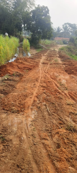  50 Guntha Agricultural/Farm Land for Sale in Ramanagara, Bangalore