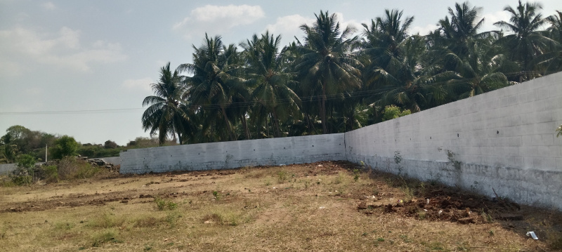  5000 Sq.ft. Agricultural/Farm Land for Sale in Mallur, Salem