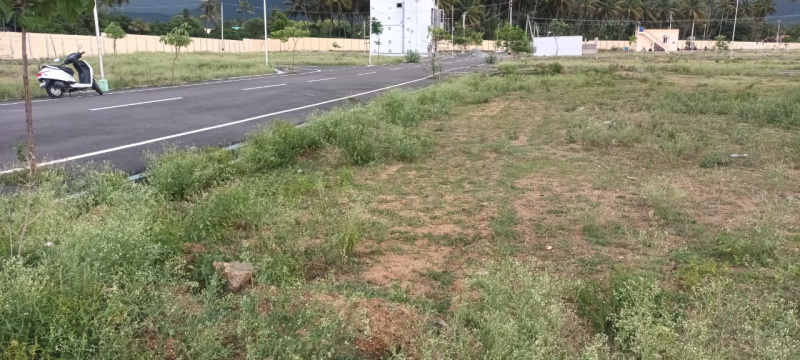  Residential Plot 1200 Sq.ft. for Sale in Belur, Salem