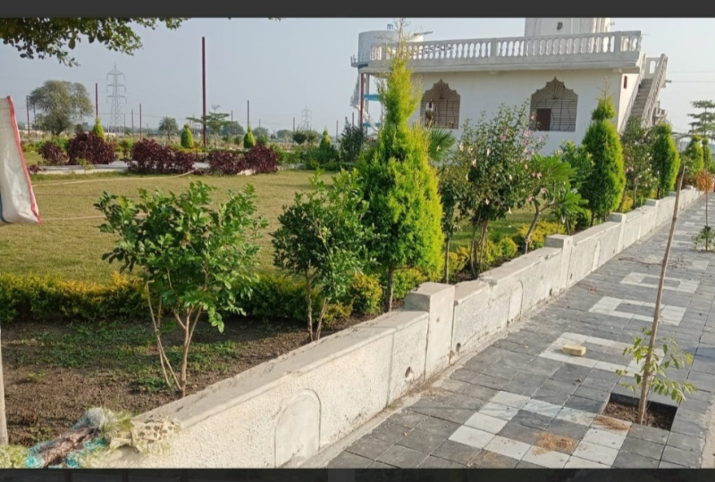  Residential Plot 800 Sq.ft. for Sale in Ujjain Road, Indore