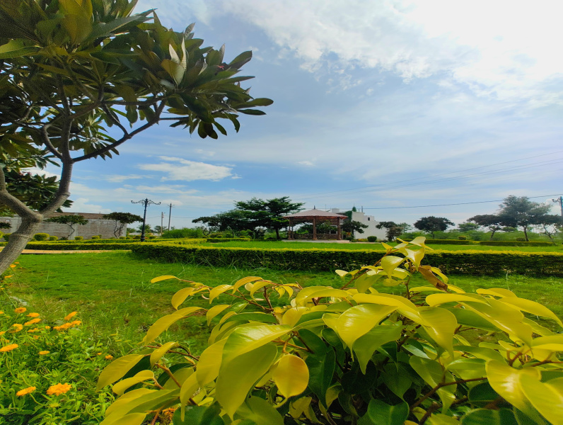  800 Sq.ft. Residential Plot for Sale in Super Corridor, Indore