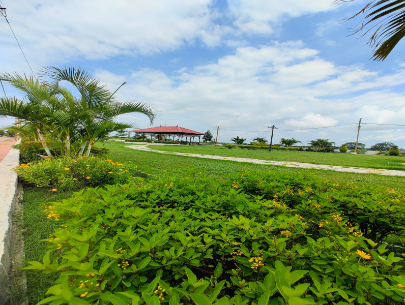  800 Sq.ft. Residential Plot for Sale in Super Corridor, Indore