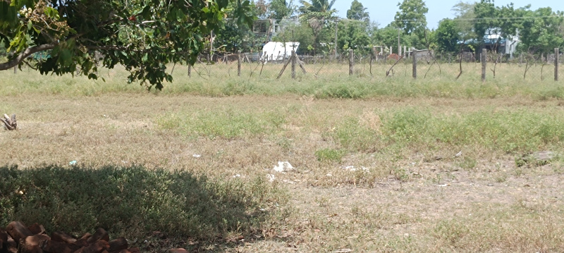  Residential Plot 7890 Sq.ft. for Sale in Thalatheru, Karaikal, Pondicherry