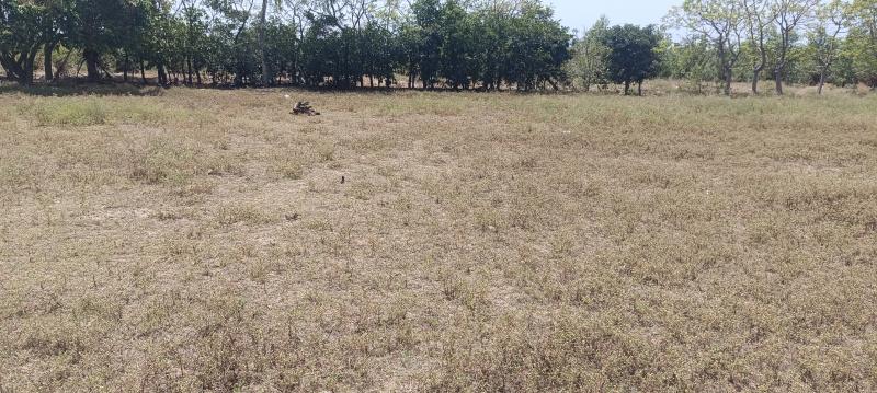  Residential Plot 7890 Sq.ft. for Sale in Thalatheru, Karaikal, Pondicherry