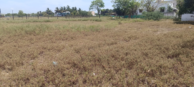  Residential Plot 7890 Sq.ft. for Sale in Thalatheru, Karaikal, Pondicherry