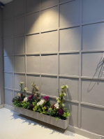 3 BHK Flat for Rent in Sector 150 Noida