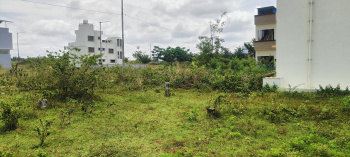 Residential Plot for Sale in Markuli, Hassan