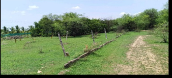  Residential Plot for Sale in Kothur, Mahbubnagar
