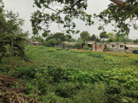  Commercial Land for Sale in Raiganj, Uttar Dinajpur