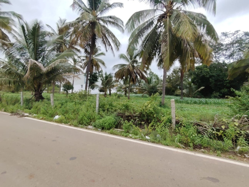  Commercial Land 60000 Sq.ft. for Rent in Bidadi, Bangalore