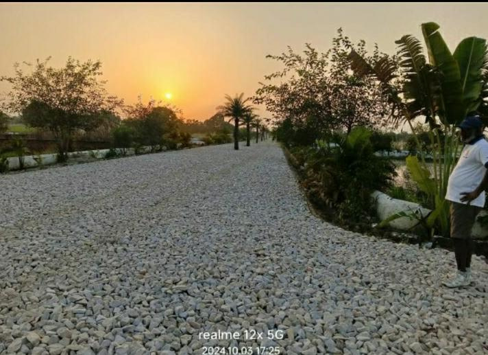  Residential Plot 1000 Sq.ft. for Sale in Alam Nagar, Lucknow