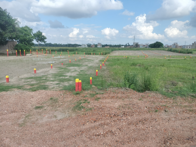  Residential Plot 10000 Sq.ft. for Sale in Narayanpur Anant, Muzaffarpur
