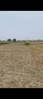  Residential Plot for Sale in Sonepur, Patna