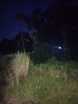 Residential Plot for Sale in Elamkunnapuzha, Kochi