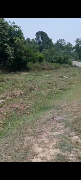  Residential Plot 3171 Sq.ft. for Sale in Bhauwala, Dehradun