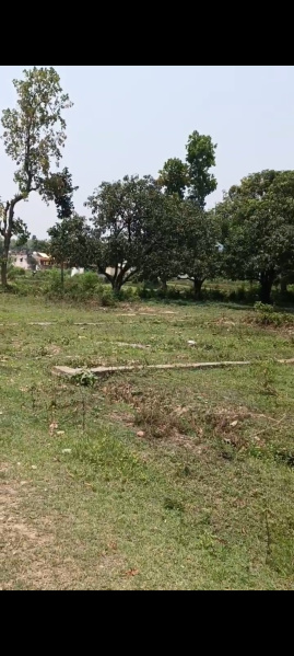  Residential Plot 3171 Sq.ft. for Sale in Bhauwala, Dehradun