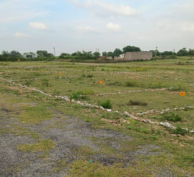  500 Sq.ft. Residential Plot for Sale in Mavli, Udaipur