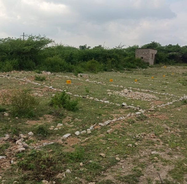  500 Sq.ft. Residential Plot for Sale in Mavli, Udaipur