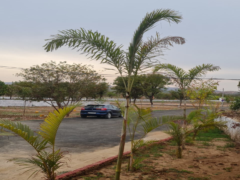  1000 Sq.ft. Residential Plot for Sale in Sakroda, Udaipur